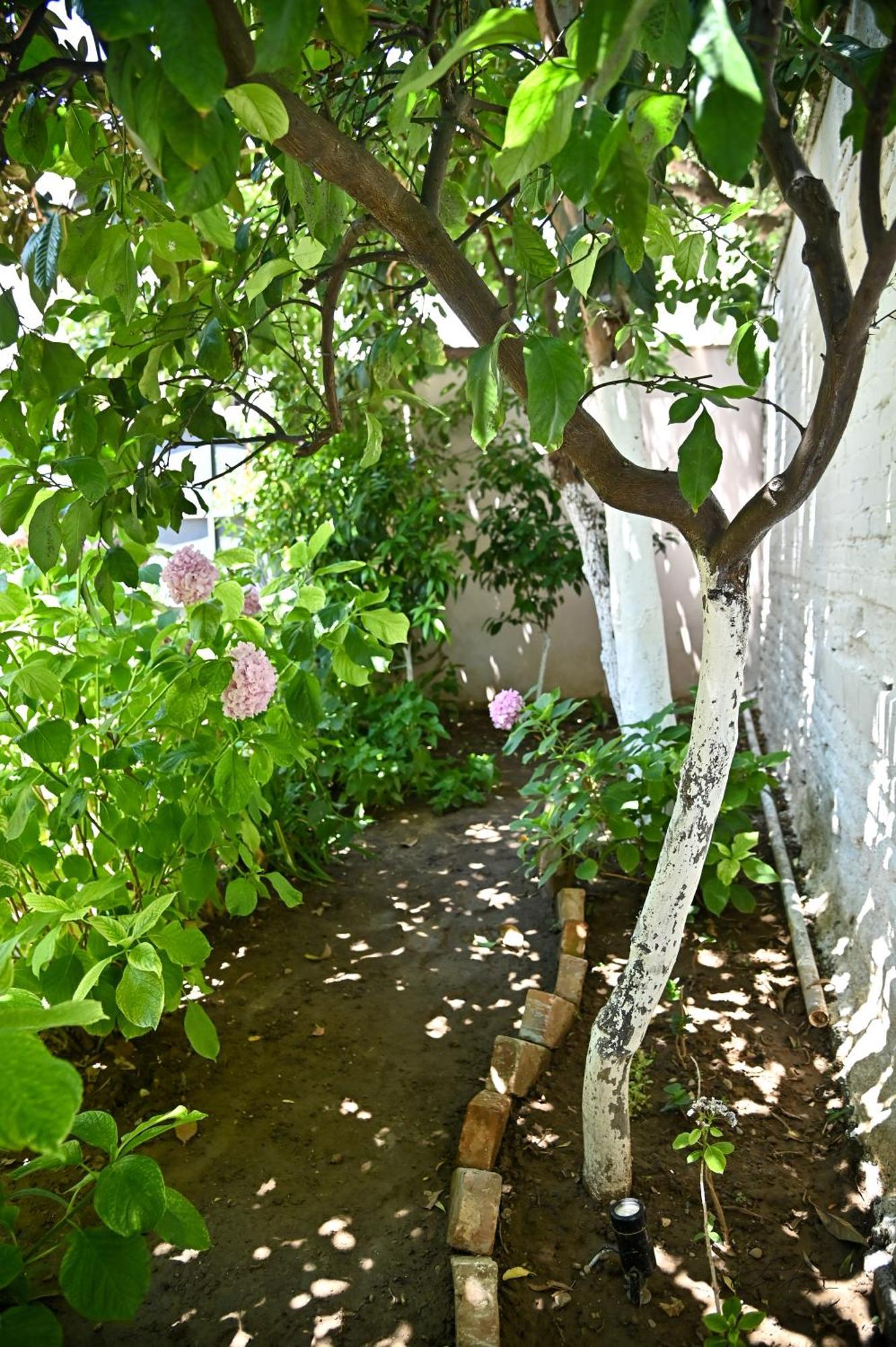 Vakantiehuis Sen Garden *